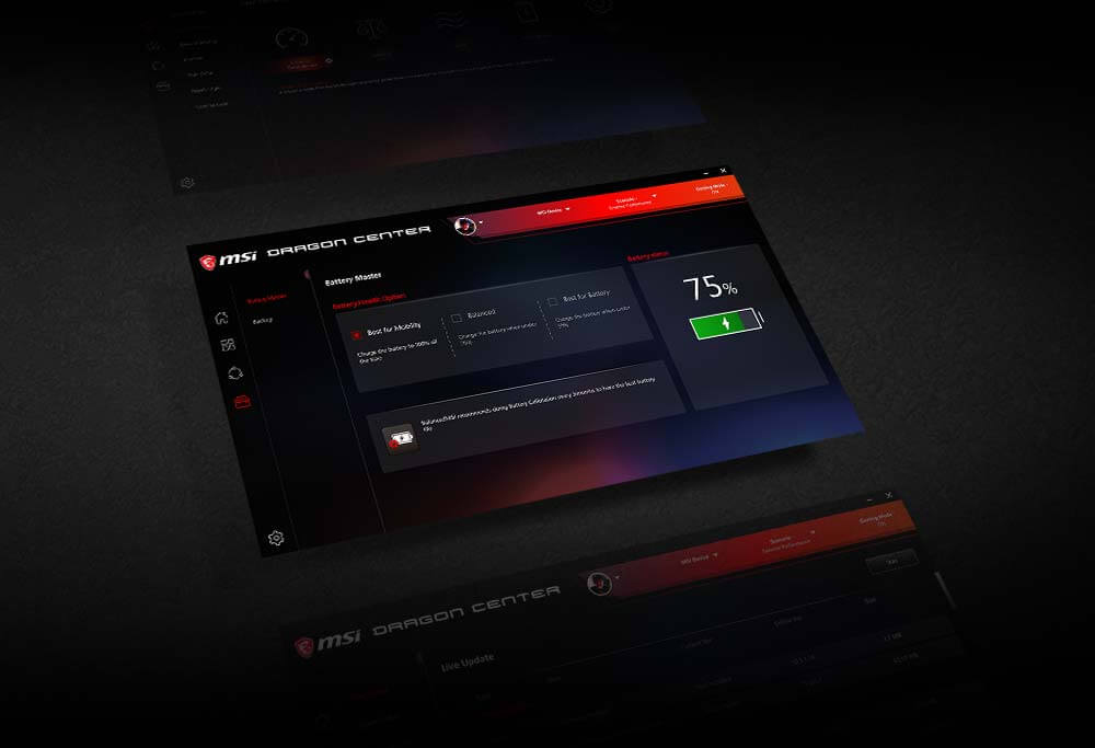 image for this item